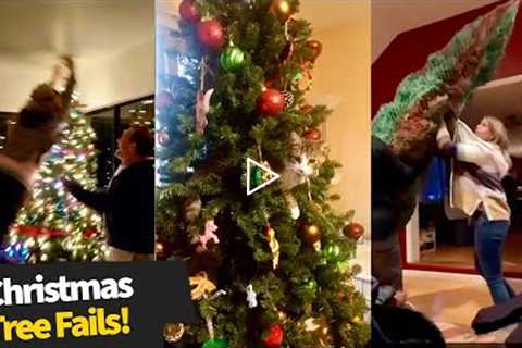 The Best Christmas Tree Fails!