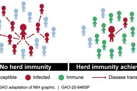 With Omicron, herd immunity isn’t coming – ^