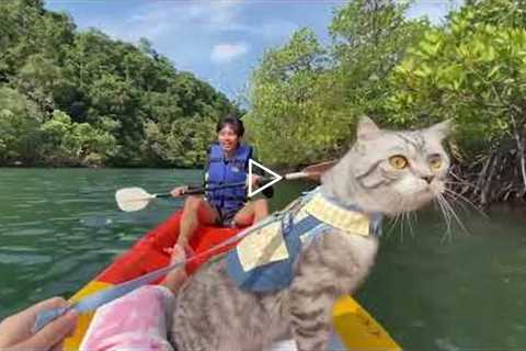 Cat Enjoys Exploring On Kayak With Its Owner #shorts #adventurecat