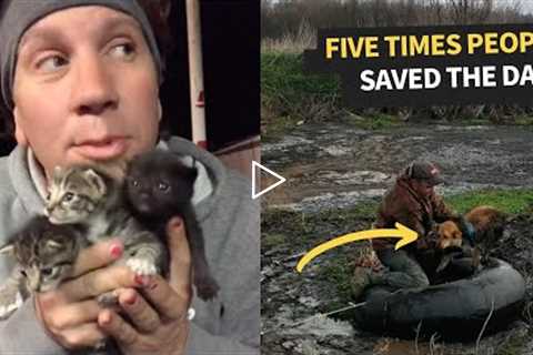 Top 5 Moments Animals Saved From Dangerous Situations