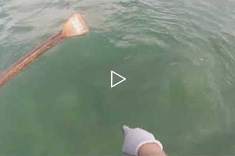 Huge Shark Repeatedly Attacks Fishermen In Canoe Off Florida Coast