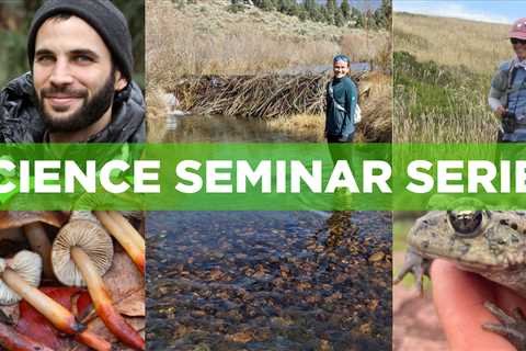 Science Seminar Series – Spring 2022 Edition –