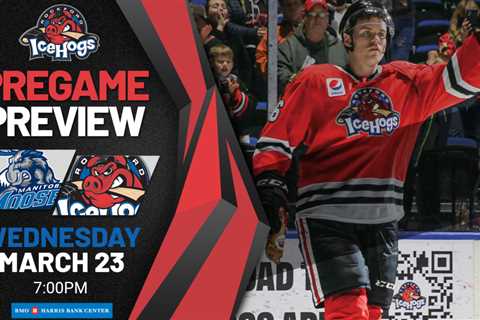 Rockford IceHogs |  Hogs and Moose Meet for Midweek Matchup