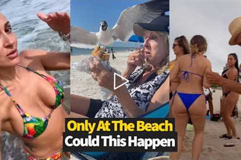 Top 15 Best Beach Moments Caught On Camera