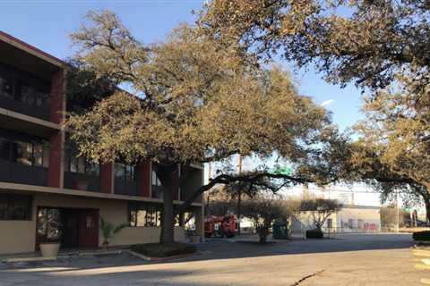 Design panel OKs plans for San Antonio homeless veterans shelter