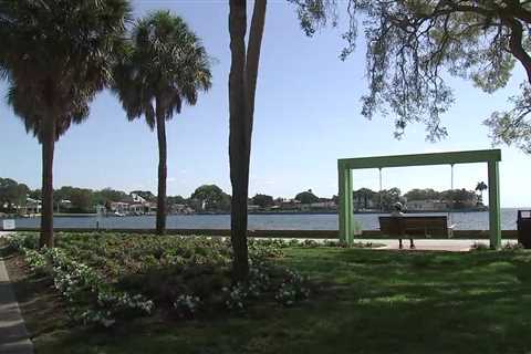 New waterfront swing tributes St. Petersburg’s famous ‘Green Benches’