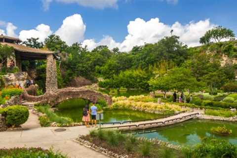 Here’s How Long You Need To See San Antonio’s Japanese Tea Garden