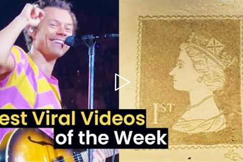 Best Viral Videos of the Week