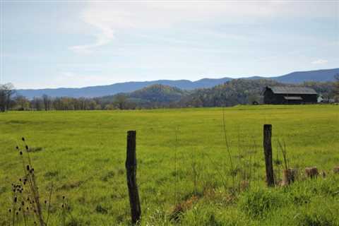 Report: Agricultural investments for Chesapeake Bay cleanup spur economy