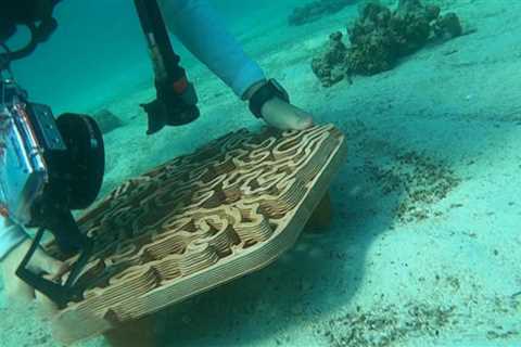 Startup uses 3D-printed titles to help restore coral reefs