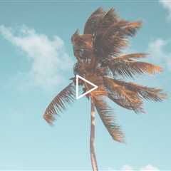FEET-ure Friday (2023)
