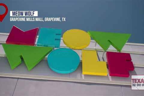 Texas To-Do List: Meow Wolf