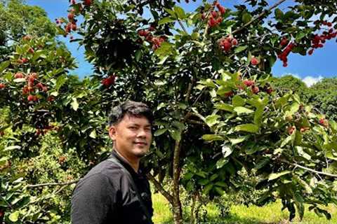 Transforming Your Farm into a Lucrative Business: Kumita ng 5k Daily!