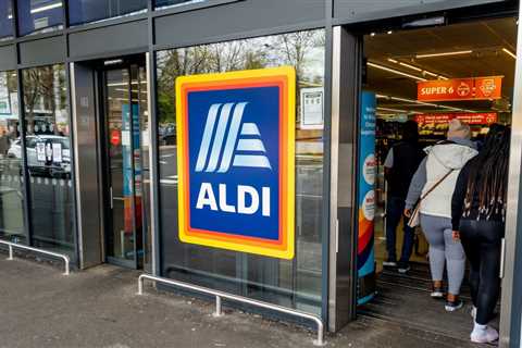 Aldi shoppers rush to buy Christmas ‘delicious’ essential that costs just 9p and fans say they are..