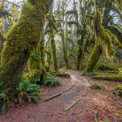 4 Natural Wonders of the Pacific Northwest