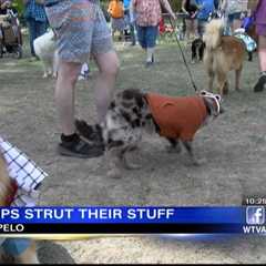 Two churches hold Pup Parade to benefit humane society