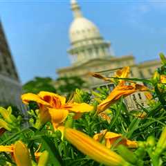 Michigan Senate kicks out 9 budget bills, as Republicans fail to win immigration and DEI amendments ..