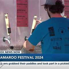 Fly Llama Brewery hosts 2nd annual Llamaroo Music Festival
