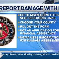 Self-report damage with MEMA