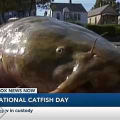 GMM celebrating National Catfish Day