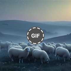 Dream About Sheep: Decoding Flock Symbolism