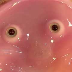 Robots Get a Fleshy Face (and a Smile) in New Research