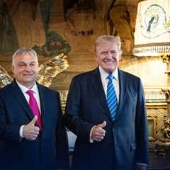 Hungary's Orban meets Trump after NATO summit