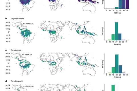 Tropical forest degradation due to ‘edge effects’ is 200% higher than thought