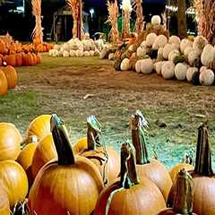 Experience the Vibrant Atmosphere of Fall Festivals in Tarrant County, Texas