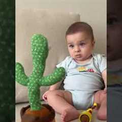 Baby Scared By Talking Cactus