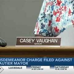 Councilman’s wife files charge against Gautier Mayor Casey Vaughan