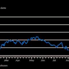 Chinese shares rise as Beijing projects ‘full confidence’ in economy