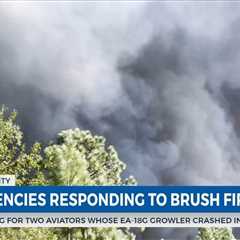 WXXV News 25’s Marco Bitonel live at scene of large brush fire in Harrison County