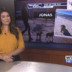 Dog Walk Forecast for Oct 17 – Jonas