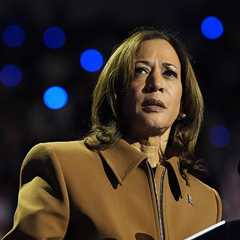 Inside the Democrat implosion as Kamala’s team is gripped by fear and ‘vibes’ drain away: ‘Nobody..