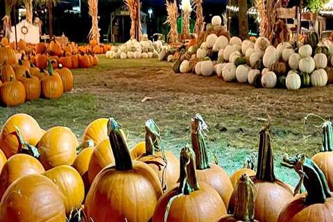 Experience the Vibrant Atmosphere of Fall Festivals in Tarrant County, Texas