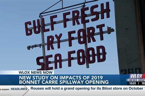 Study shows more than $20 million lost from 2019 Bonnet Carre Spillway opening