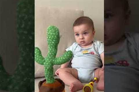 Baby Scared By Talking Cactus