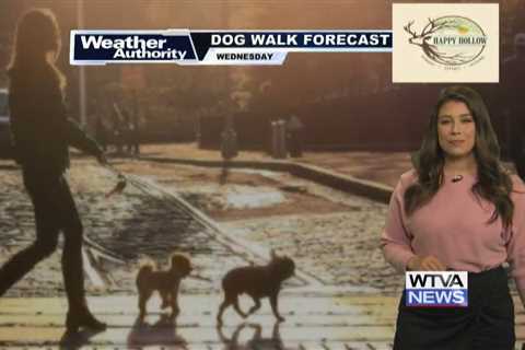 Dog Walk Forecast for Oct. 16 – Vera Wang