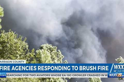 WXXV News 25’s Marco Bitonel live at scene of large brush fire in Harrison County