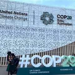 Weak gender focus at COP29 risks leaving women behind in greener future