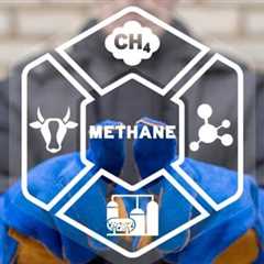 COP29: Launch of “An Eye on Methane”, Will Pledges Turn into Progress?