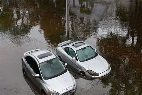 Disaster Preparedness and Response Campaigns in Leon County, Florida