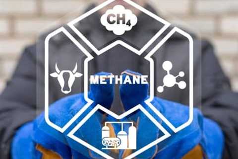 COP29: Launch of “An Eye on Methane”, Will Pledges Turn into Progress?