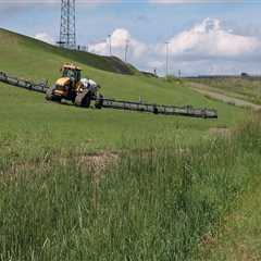 The Political Landscape of Southeastern Mississippi: Concerns and Impact on Rural Communities