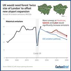 DeBriefed 31 January 2025: Closing Africa’s power gap; UK needs forest ‘twice size of London’ to..