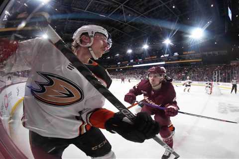 Coyotes, Wild, Ducks, Blues, and NHL Salary Cap Updates