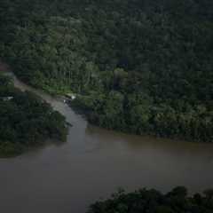 Lula’s government pushes for new oil drilling in the Amazon – where it plans to host COP30