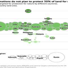 Revealed: More than half of nations fail to protect 30% of land and sea in UN nature plans