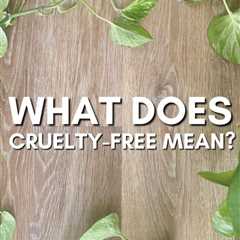 What Does Cruelty-Free Mean? +10 Ethical Brands